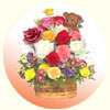Stunning Sensation - Click here to View more details about this Product